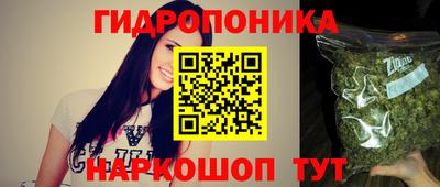 прущие грибы Тверь